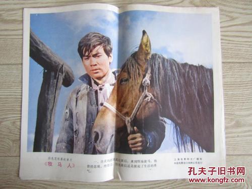 怎么买马萨诸塞州驾驶证